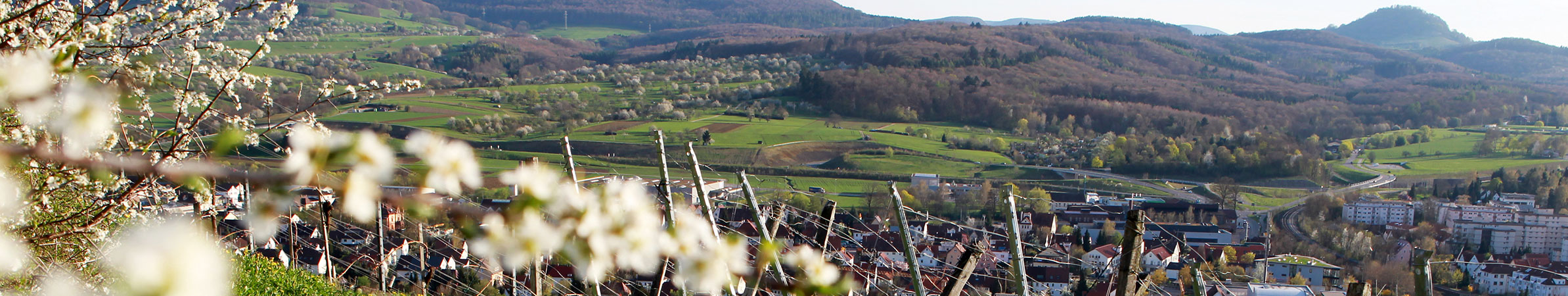 Ermstal im Frühling