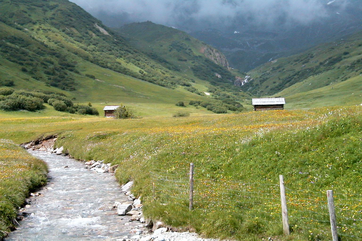 Wandern